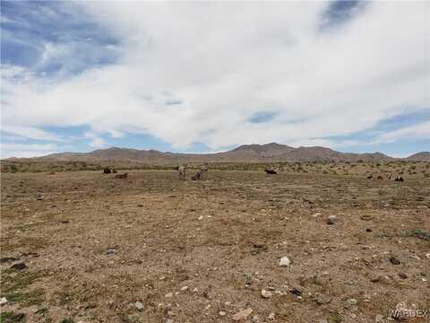 10 ACRES N JOSEPH Road, Dolan Springs, AZ 86441