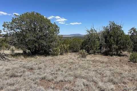 301-23-003R Golden Eagle Ranch, Seligman, AZ 86337