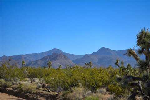 2641 S Javelina Road, Yucca, AZ 86438