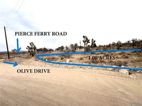 327-06-198A N OLIVE Drive, Dolan Springs, AZ 86441
