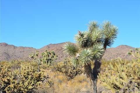 11900 S Alan Road, Yucca, AZ 86438