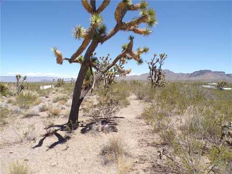 Lot 18 N Ladera Drive, Dolan Springs, AZ 86441