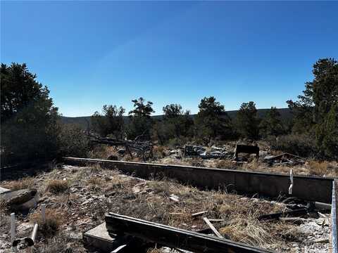 Skunk Hill Trail lot: 010, Peach Springs, AZ 86434