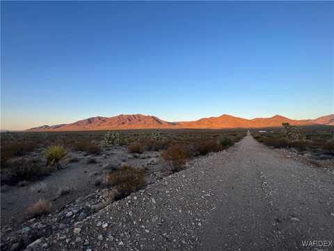 Lot 10 W 336-10-401 Dahlia Drive, Meadview, AZ 86444