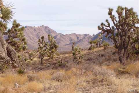 W 20th Street lot: 72, Dolan Springs, AZ 86441
