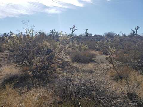 2 Acres - 8560 W White Hills Road, White Hills, AZ 86445