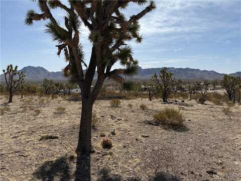N Magnolia Drive, Dolan Springs, AZ 86441