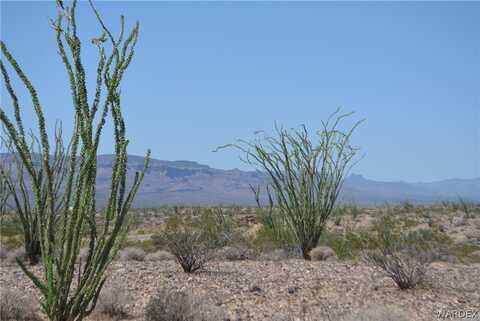 3007 S Alamo Road, Yucca, AZ 86438