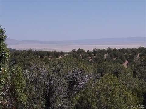 Antalope Run Road lot: 147, Seligman, AZ 86337