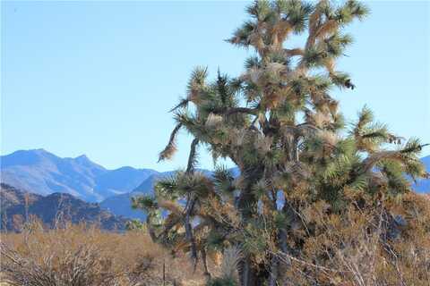 S Raley Road, Yucca, AZ 86438