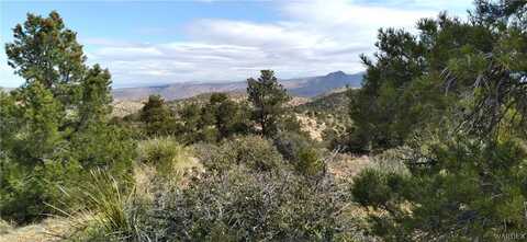 E Mountain Springs Road, Hackberry, AZ 86411