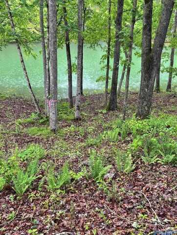 LOT 7 SHORESIDE DRIVE, Double Springs, AL 35553