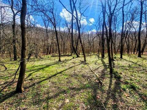 0 Kings Creek Road, Weirton, WV 26002