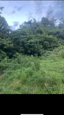 Ashland Ridge Road, Reader, WV 26167