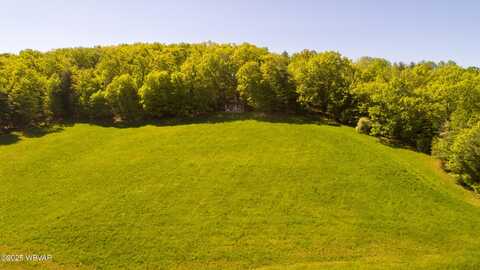 168 N SHAFFER HILL ROAD, Cogan Station, PA 17728