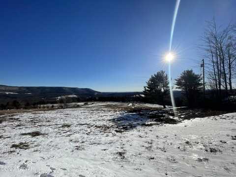 PARCEL 001 FAIRMAN Road, Muncy Valley, PA 17758