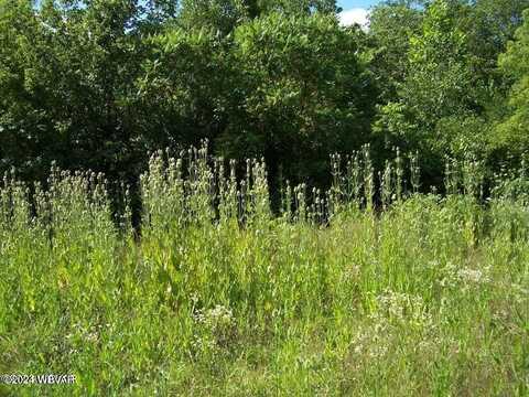 LONG RUN Road, Mill Hall, PA 17751
