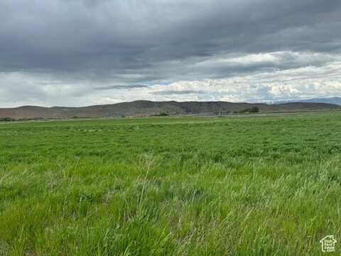 3200 N 4400 W, Clifton, ID 83228