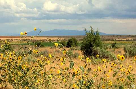 113 S AVIKAN HILLS, Blanding, UT 84511