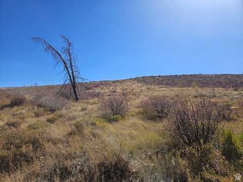 undefined, Fruitland, UT 84027