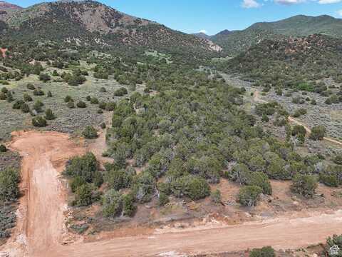 20740, Birdseye, UT 84629