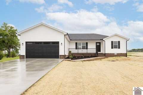 471 Twin Hills Rd, Mayfield, KY 42066