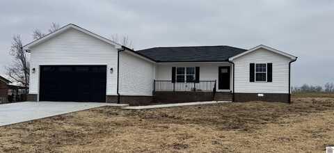 471 Twin Hills Rd, Mayfield, KY 42066