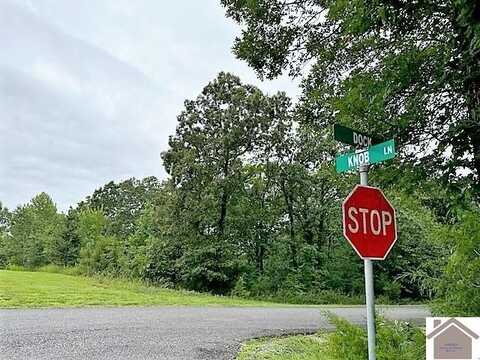 Lots 71, 72, 73 Dock Drive, Murray, KY 42071