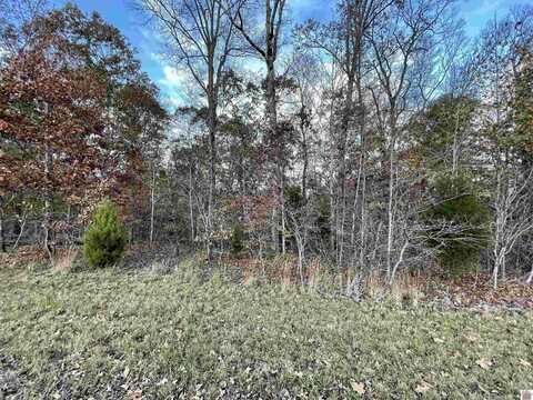 0 Hilltop Drive, Murray, KY 42071