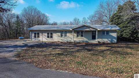 371 County Road 1049, Cunningham, KY 42035