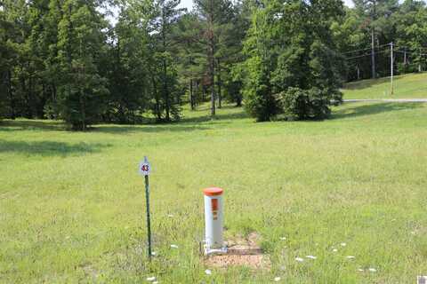 Lot #43 Pine View Drive, Benton, KY 42025