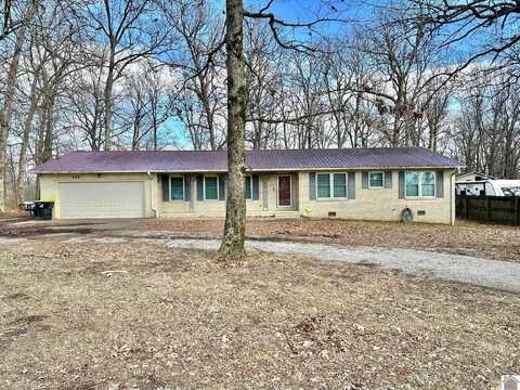 498 Old Dublin Road, Mayfield, KY 42066