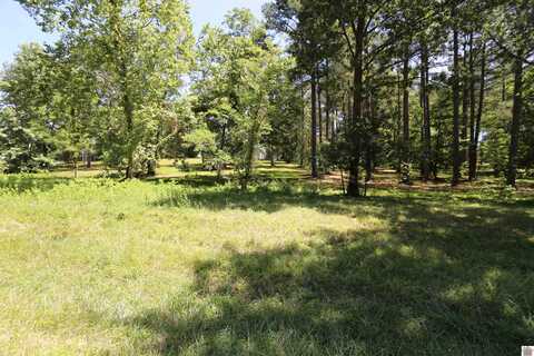 Lot #48 Doe Valley Drive, Benton, KY 42025
