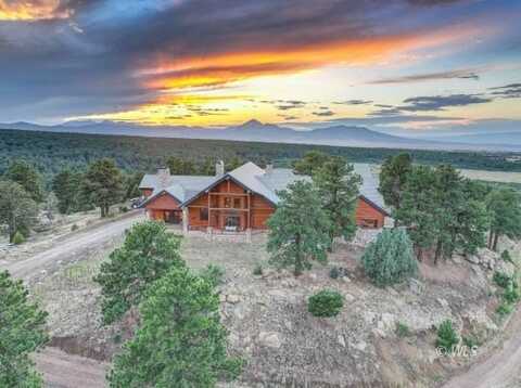 6600 County Rd 363, La Veta, CO 81055