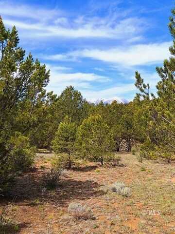 TBD Lot 5 Bella Vista Dr, Westcliffe, CO 81252