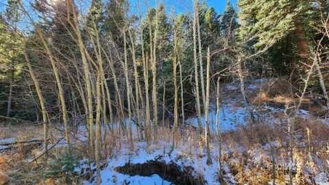 TBD HWY 165, Rye, CO 81069