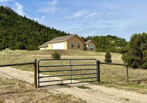 1200 Mitchell Mountain Rd, Westcliffe, CO 81252