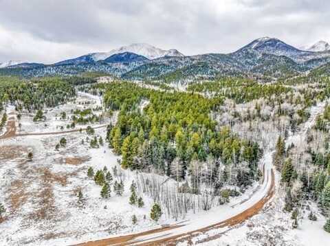1166 Chalice Dr, Westcliffe, CO 81252