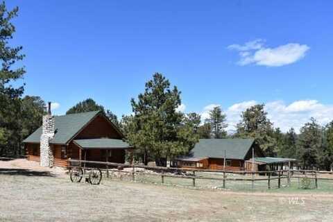 988 15th Trail, Texas Creek, CO 81223