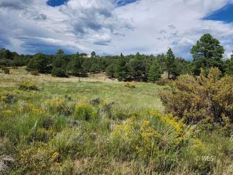 15 Arroyo Ave, Westcliffe, CO 81252