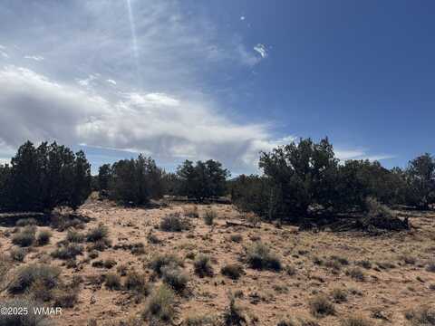 8546 County Rd, Concho, AZ 85924