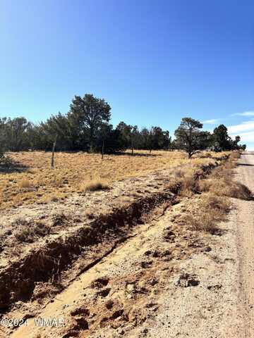 57&64 County Road 7209, Sanders, AZ 86512