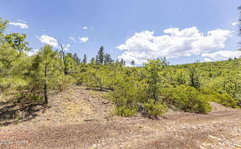 Tbd Fieldy Road 14.03 Acres, Show Low, AZ 85901
