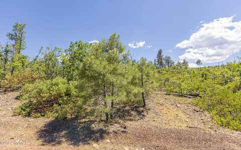 Tbd Fieldy Road 14.03 Acres, Show Low, AZ 85901