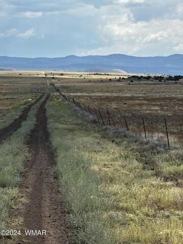 53c County Road 3373, Concho, AZ 85924
