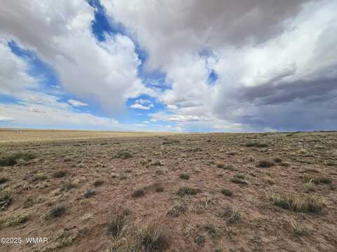 Tbd S Tovar Avenue, Holbrook, AZ 86025