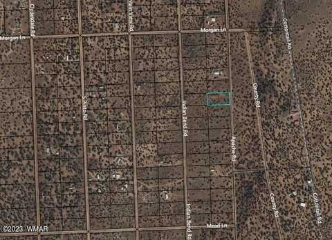 4372 Apache Road, Snowflake, AZ 85937
