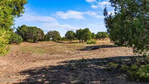 Tbd Old Homestead Road, Show Low, AZ 85901