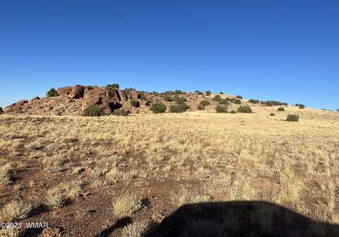 24 N 8448, Concho, AZ 85924
