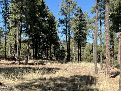 Lot C County Road N2147, Alpine, AZ 85920